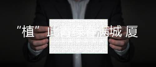 【】黄花风铃木迎风挺立