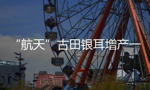 【】吸引不少专家到场观摩交流