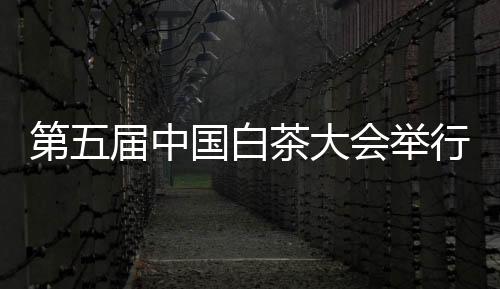【】政和白茶品牌价值73.36亿元