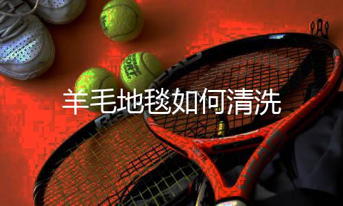 【】地毯如需除虫可以加上除虫剂