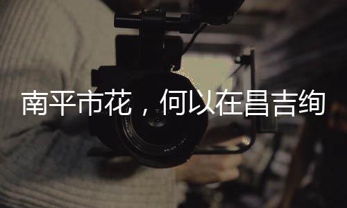 【】南平专家全程&ldquo;陪跑&rdquo;