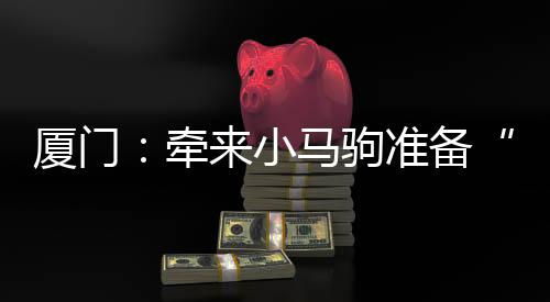 【】马驹&ldquo;壶&rdquo;星高照