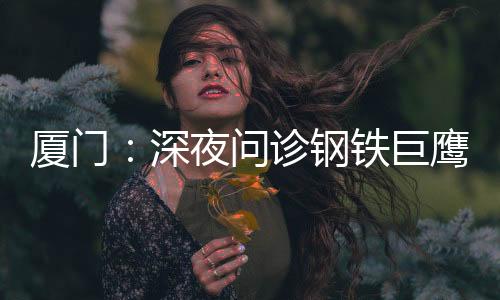 【】团圆是厦门无数次精准的检修