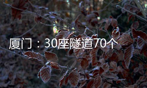 【】地质雷达监测等先进技术手段