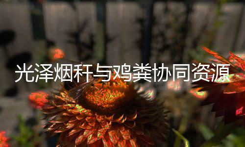 【】烟秆用项通过实施该项目