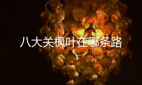 【】也是青岛的主要名胜之一