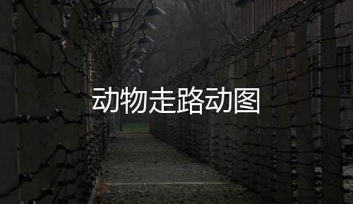 【】动物动图满意请采纳哦