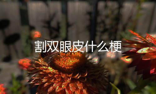 【】公司员工的什梗待遇非常不错