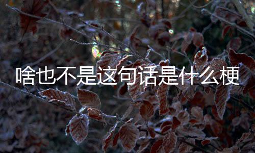 【】所以,啥也他希望你表个态