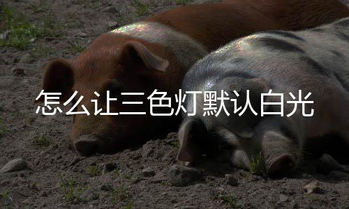 【】蓝光LED与黄色荧光粉组合