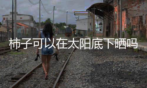 【】柿叶都是太阳很好的药物