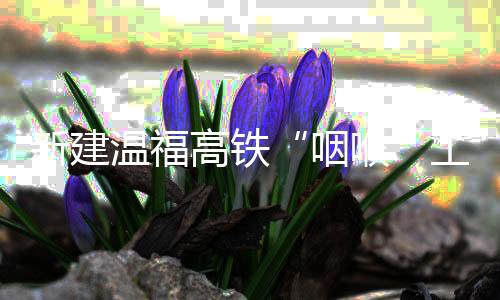 【】是温福高铁全线第二长隧