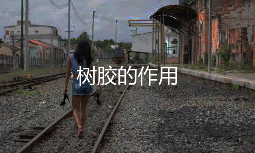 【】涂料等方面有广泛的树胶用途