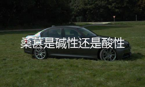 【】桑葚每年4~6月果实成熟时采收