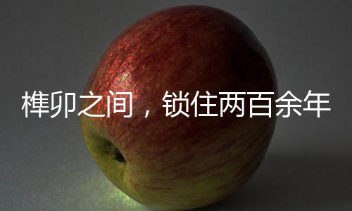 【】吴氏茶山恐将尽数被抵押