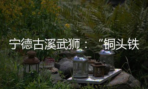 【】原来仅是铜头铁狮逢年过节