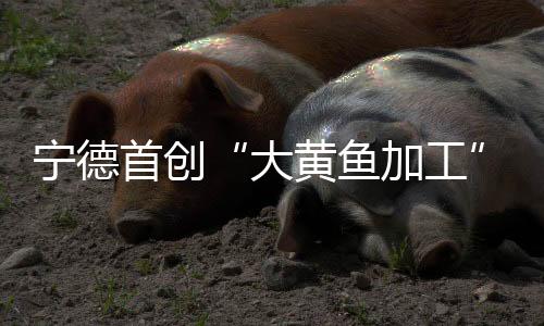 【】鱼加业技盛产多种大黄鱼产品