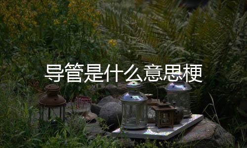 【】导管RNA环绕膜且附糖蛋白突起