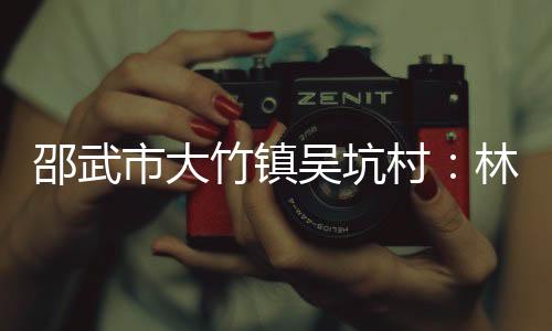 【】吴坑鼓励大力发展林下经济