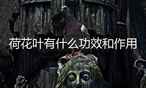 【】荷花此外,什功荷叶炒成炭后