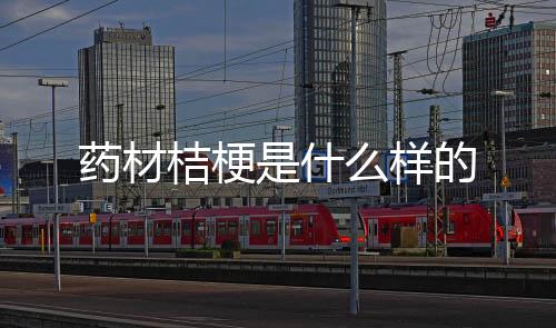 【】适宜什么样的土地和气候