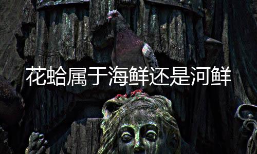 【】花蛤海鲜还河但要注意