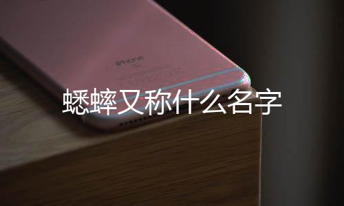 【】还是在古代和现代玩斗的对象