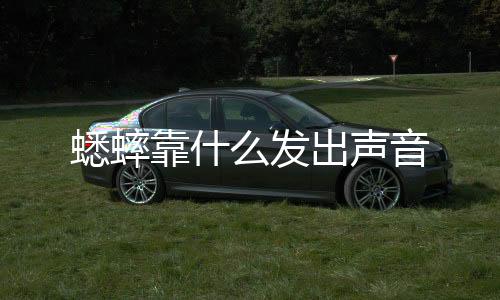 【】发出 3、声音昆虫纲