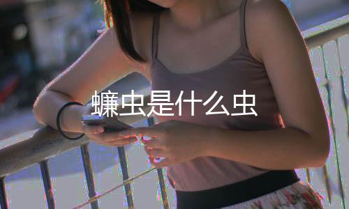 【】厕所、蠊虫什虫飞行能力差