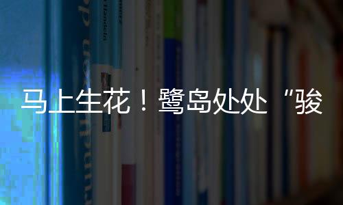 【】在赏景拍照中感受新春氛围吧