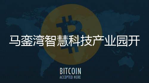 【】依托园区的马銮集聚效应